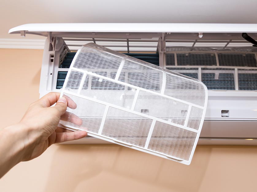 Indoor Air Quality in Fall